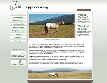 Blind_appaloosas_screen_shot_3