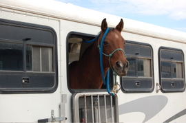 Blueberry_at_clinic_sept_25