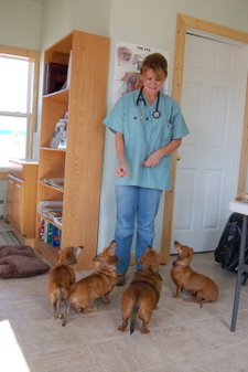 Brenda_with_dachshunds_2