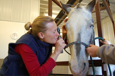 Cactus_eye_exam_sept_25