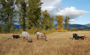 Domino_and_guadalupe_sept_17