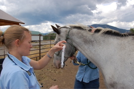 Erin_calibrating_tonopen
