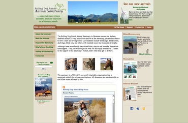 New_web_site_screenshot