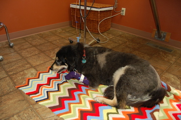 Shiloh_chemo_treatment_2