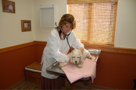 Ellie_may_with_brenda_2