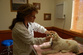 Ellie_may_with_brenda_and_tonopen