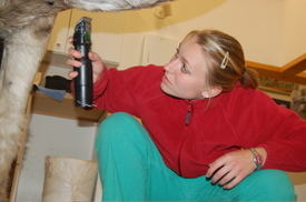 Angela_clipping_rocky