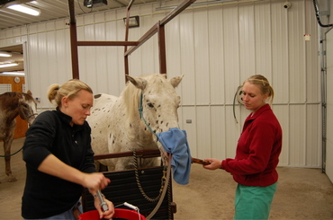 Erin_and_angela_with_rocky_3
