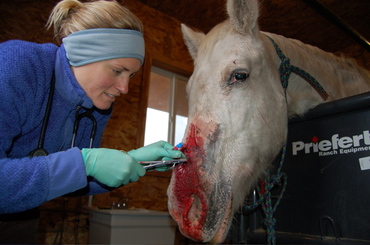 Erin_with_lilah_nov_13