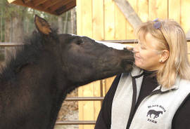 Lisa_and_blind_foal