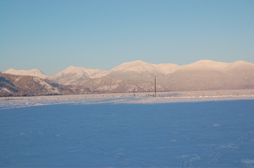 Thanksgiving_day_2007 Thanksgiving_day_2007