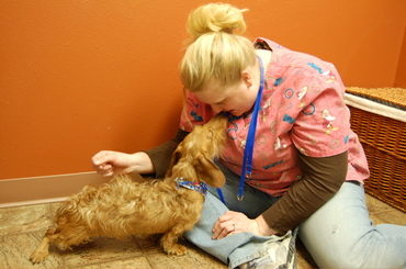 Oliver_kissing_jayme