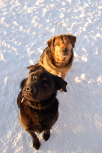 Patti_and_levi Patti_and_levi