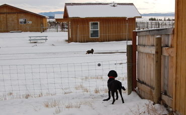 Trooper_staring_at_spark