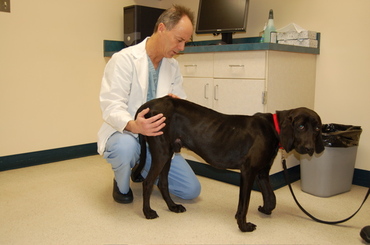 Trooper_with_joe_2 Trooper_with_joe_2