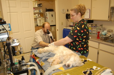 Ellie_may_gets_scoped