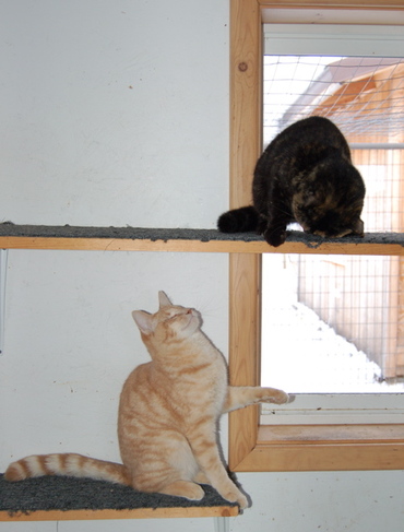 Herbie_and_honey_girl_4 Herbie_and_honey_girl_4