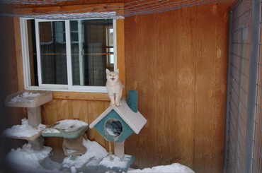 Herbie_stuck_outside