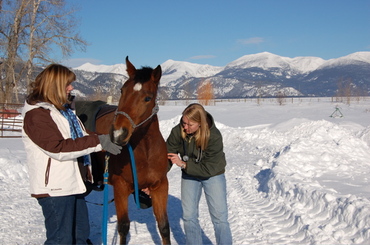 Nikkis_neuro_exam_with_angela