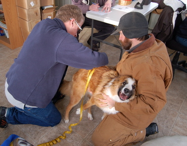 Noodle_getting_measured