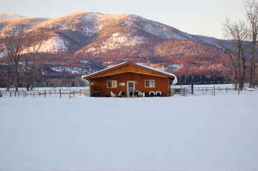 Widgets_house_jan_21 Widgets_house_jan_21