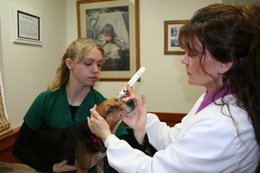 Briggs_with_brenda_and_tonopen