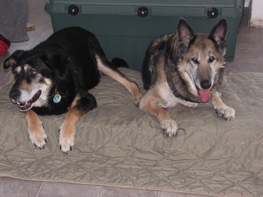 Dillon_and_pappy_on_bed