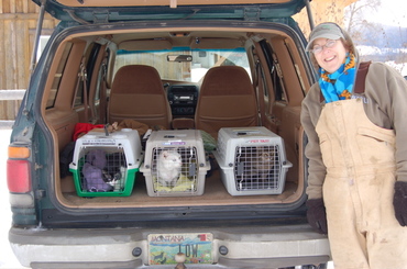 Laura_with_car_full_of_cats