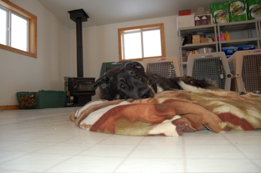 Pepper_on_bed_2_2 Pepper_on_bed_2_2