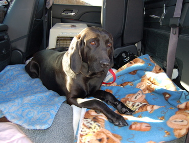 Trooper_in_truck_feb_18