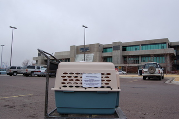 Creightons_crate_on_dolly