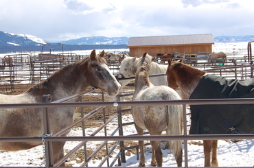 Guadalupe_with_the_boys