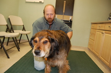 Penny_and_dave_march_20