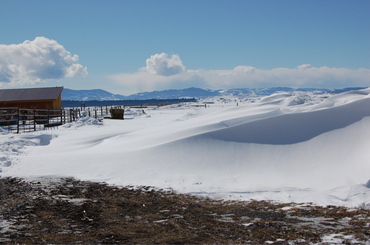 Snowdrift_3 Snowdrift_3