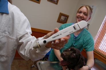 Brenda_showing_off_tonopen