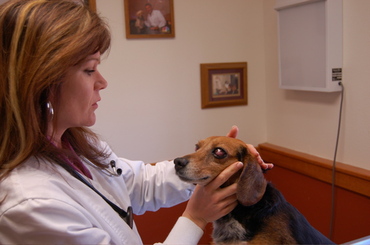 Briggs_with_brenda_april_16