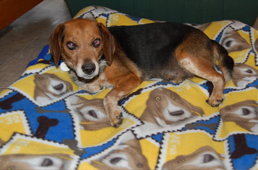 Briggs_without_cone_april_30