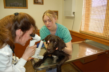 Creighton_with_brenda_1