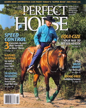 Perfect_horse_cover