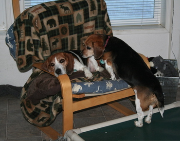 Widget_and_stuart_1 Widget_and_stuart_1