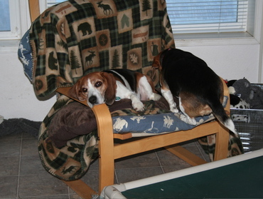 Widget_and_stuart_2 Widget_and_stuart_2