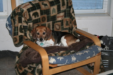 Widget_and_stuart_5 Widget_and_stuart_5