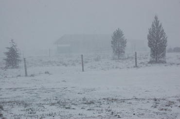 Widgets_house_april_19