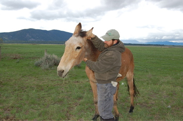 Roy_ear_scratch_may_26