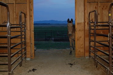 Roy_waiting_for_scout_2 Roy_waiting_for_scout_2