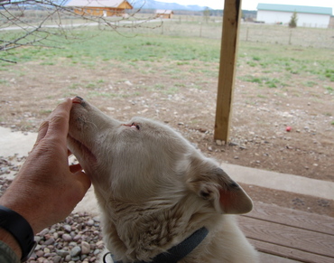 Spinner_at_door_may_11