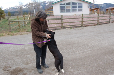 Sweetie_with_alayne_may_6