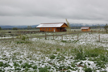 Beautys_barn_june_11_6