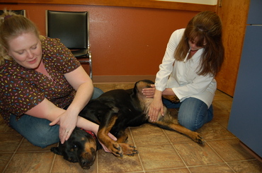 Helen_with_brenda_and_jayme