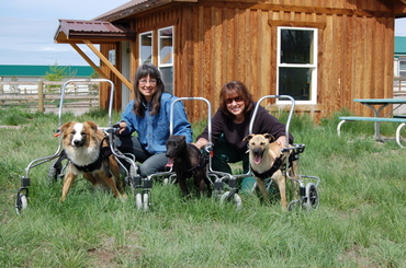 Smokey_charlie_and_noodle_on_wheels